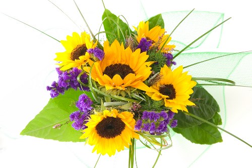 A vibrant bouquet of fresh flowers ready for delivery in West Kensington.