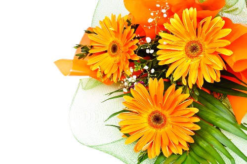 Beautiful bouquet of mixed flowers arranged elegantly