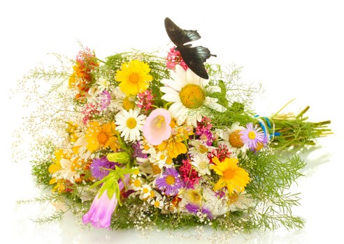 Beautiful bouquet of mixed flowers arranged elegantly