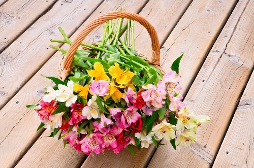 Assorted fresh flowers arranged in a vibrant bouquet