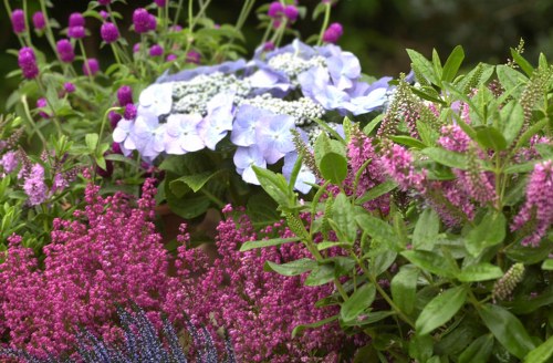 A vibrant bouquet of mixed flowers arranged beautifully