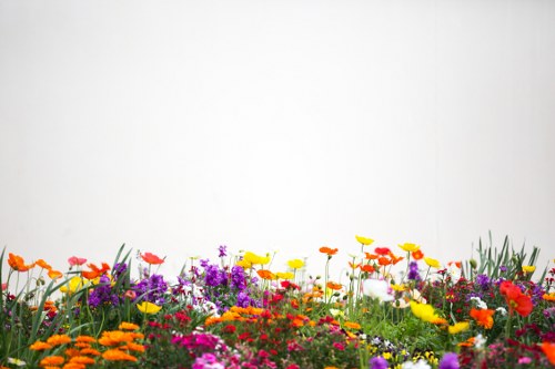 Freshly arranged roses and lilies in a decorative vase