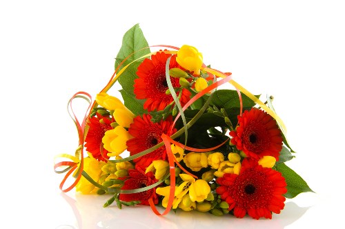 Seasonal flowers arranged in a modern display