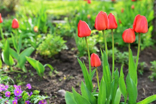 Local florist providing personalized flower arrangements