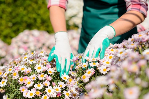 Seasonal flowers arranged in a decorative vase