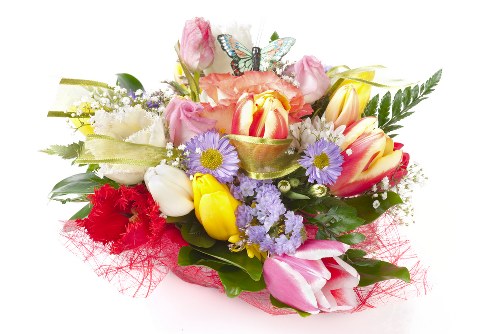 Selection of fresh roses in vibrant colors