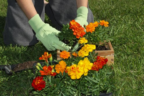 Professional flower delivery service in Wealdstone