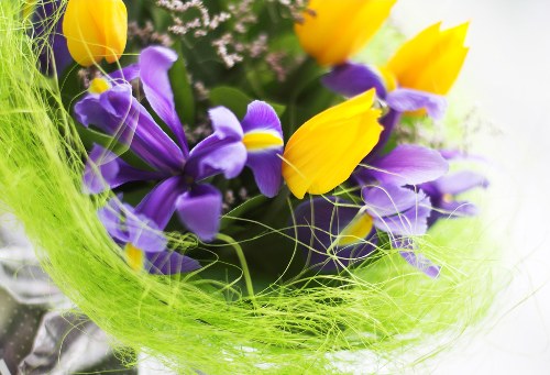 Colorful seasonal flowers ready for delivery