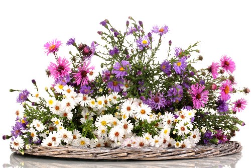 Florist arranging vibrant seasonal flowers