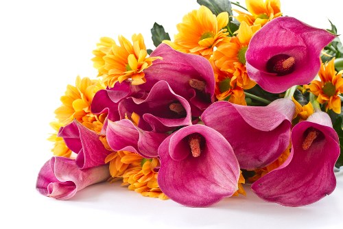 Variety of flower arrangements available for delivery