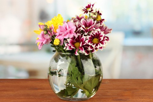 Orchids displayed in an elegant setting