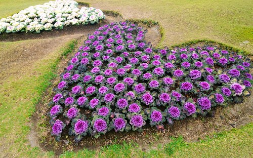 Same-day flower delivery being prepared by a local florist