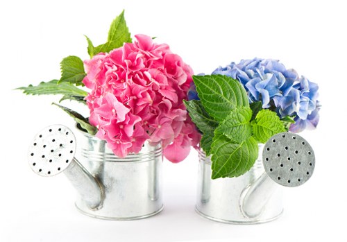 Corporate flower arrangement on office desk