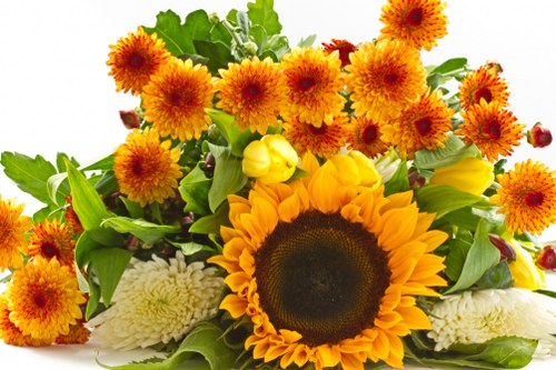 Variety of flower arrangements available for delivery