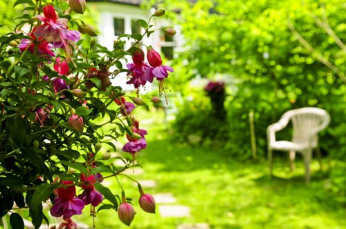 Variety of colorful flowers for any occasion