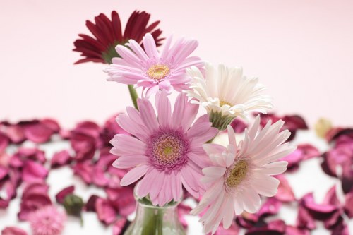 Local florist arranging fresh blooms