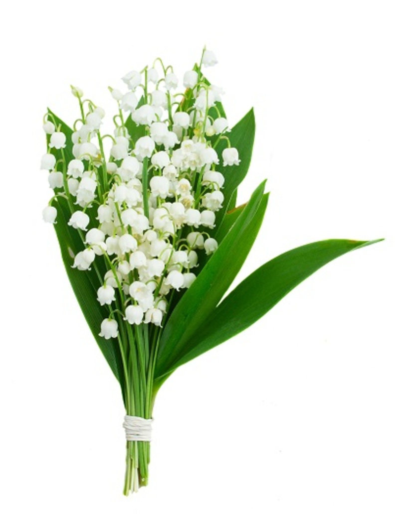 Create Your Own Natural Christmas Wreath