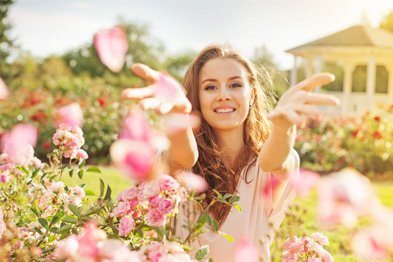 Flowers flowers  / countless flowers